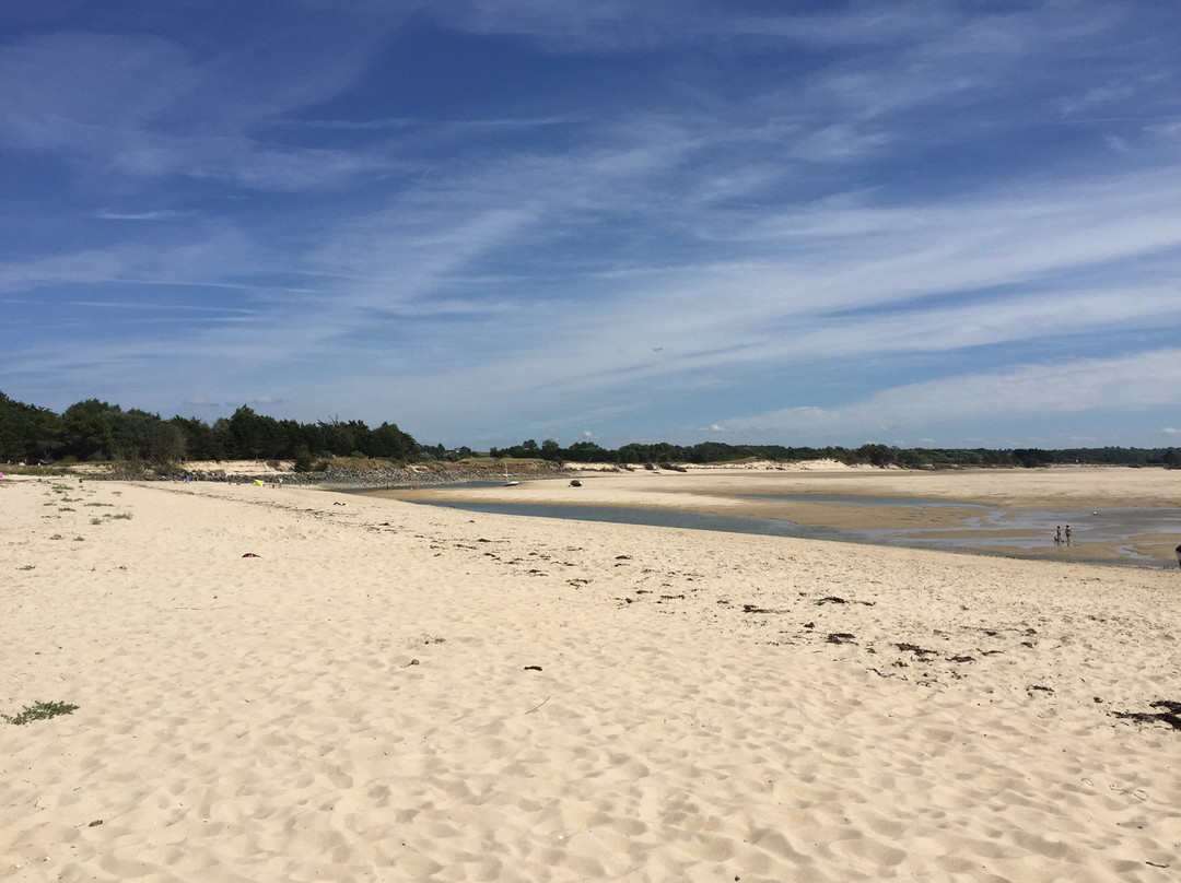 La Cotentine主图