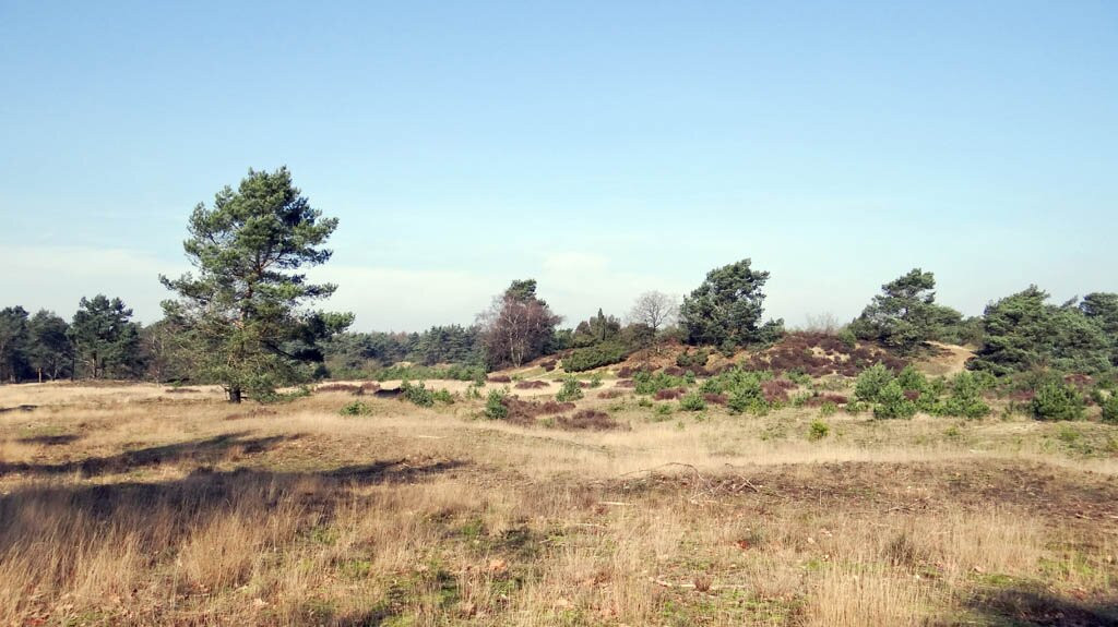 Kootwijkerzand-Kootwijk必去景点