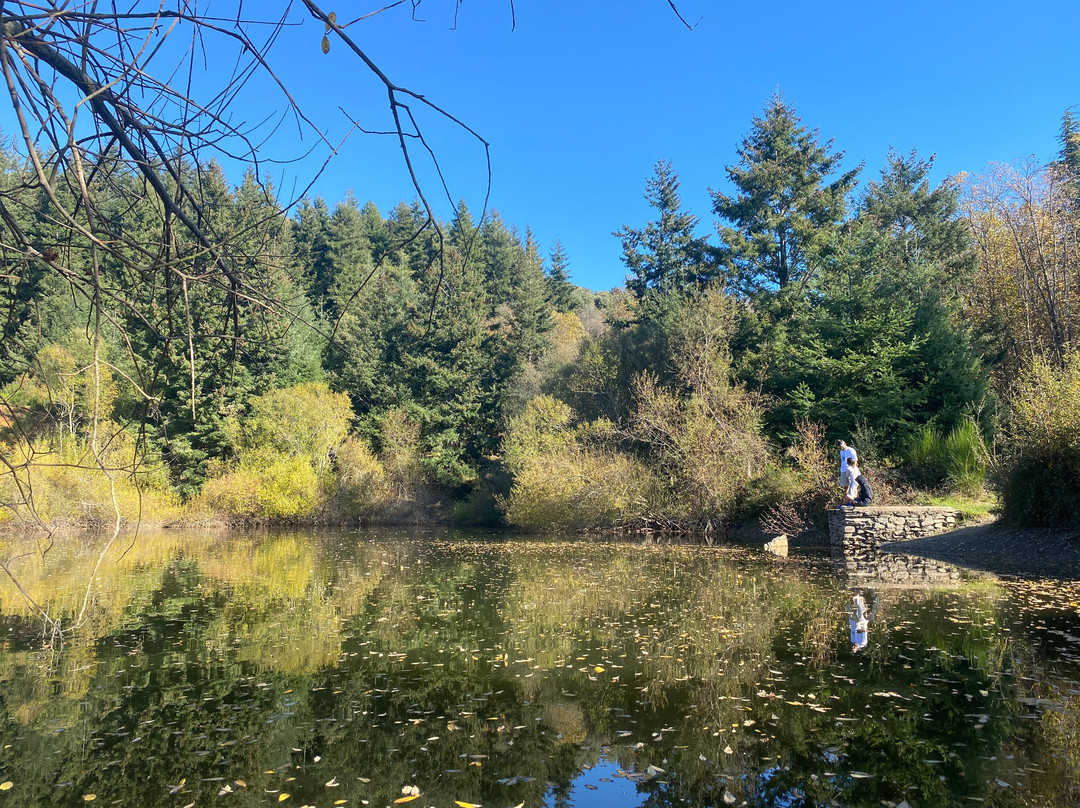 Montseny酒店住宿-Can Llobet