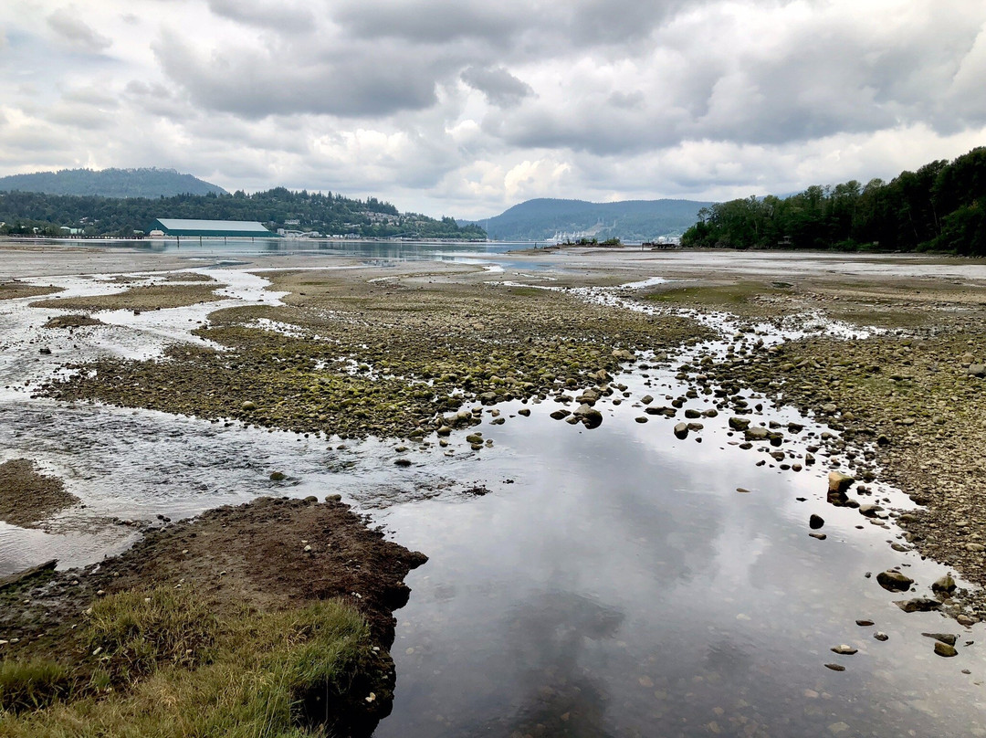 Shoreline Park-穆迪港必去景点
