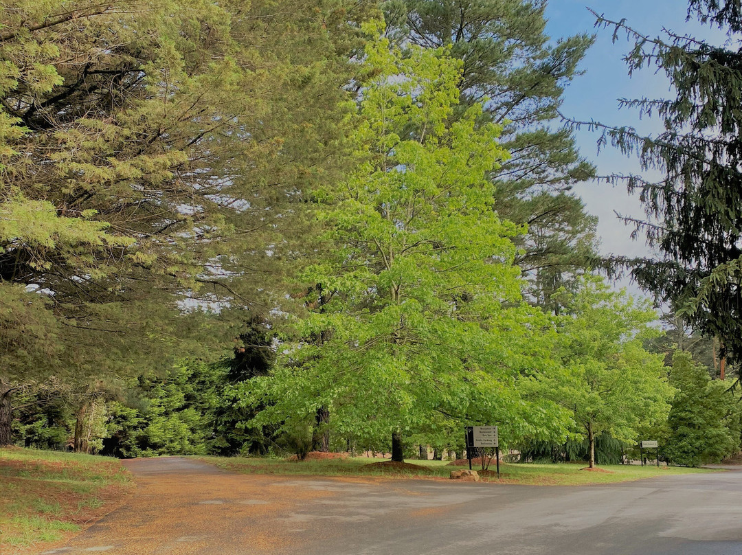 乡间花园小屋酒店主图