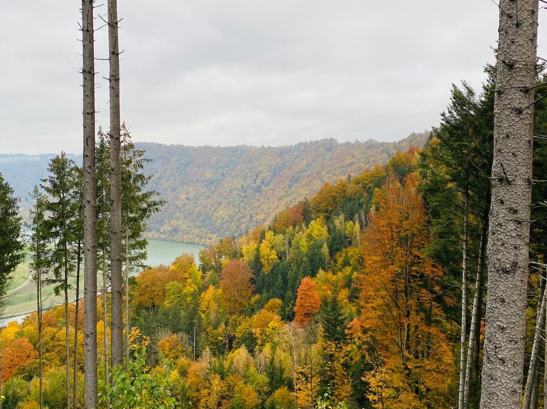 Schlogener Blick-Haibach ob der Donau必去景点