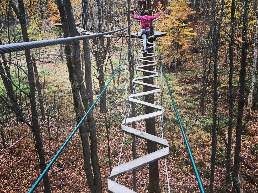 Go Ape Zipline & Adventure Park-Strongsville必去景点