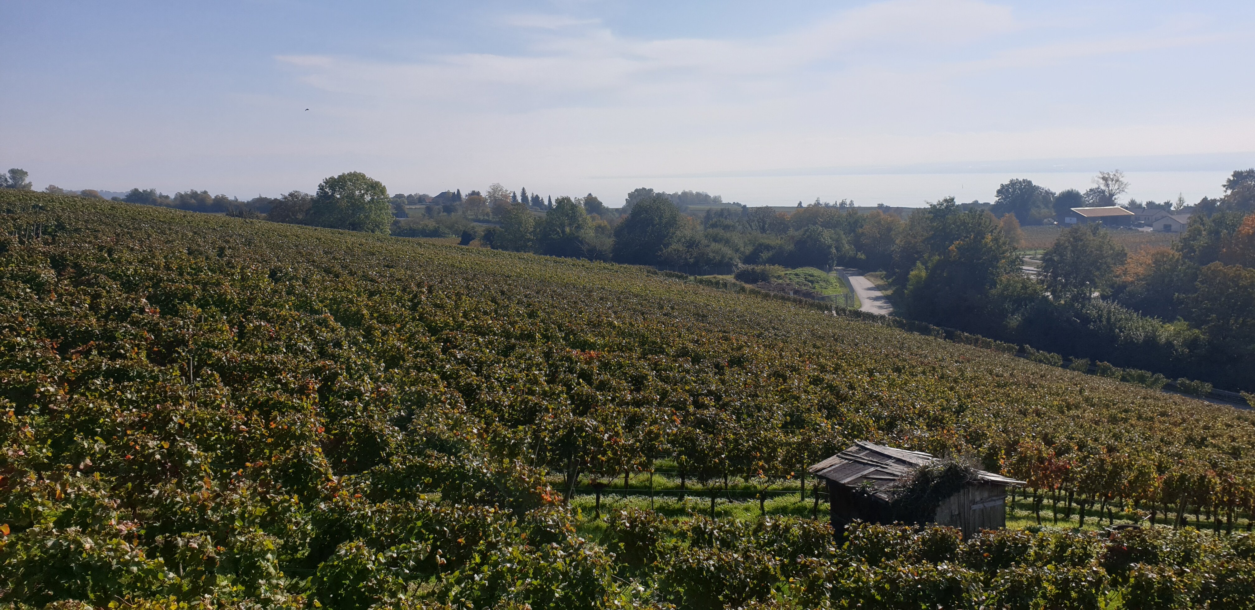 Pension Haus am Trielberg-官方