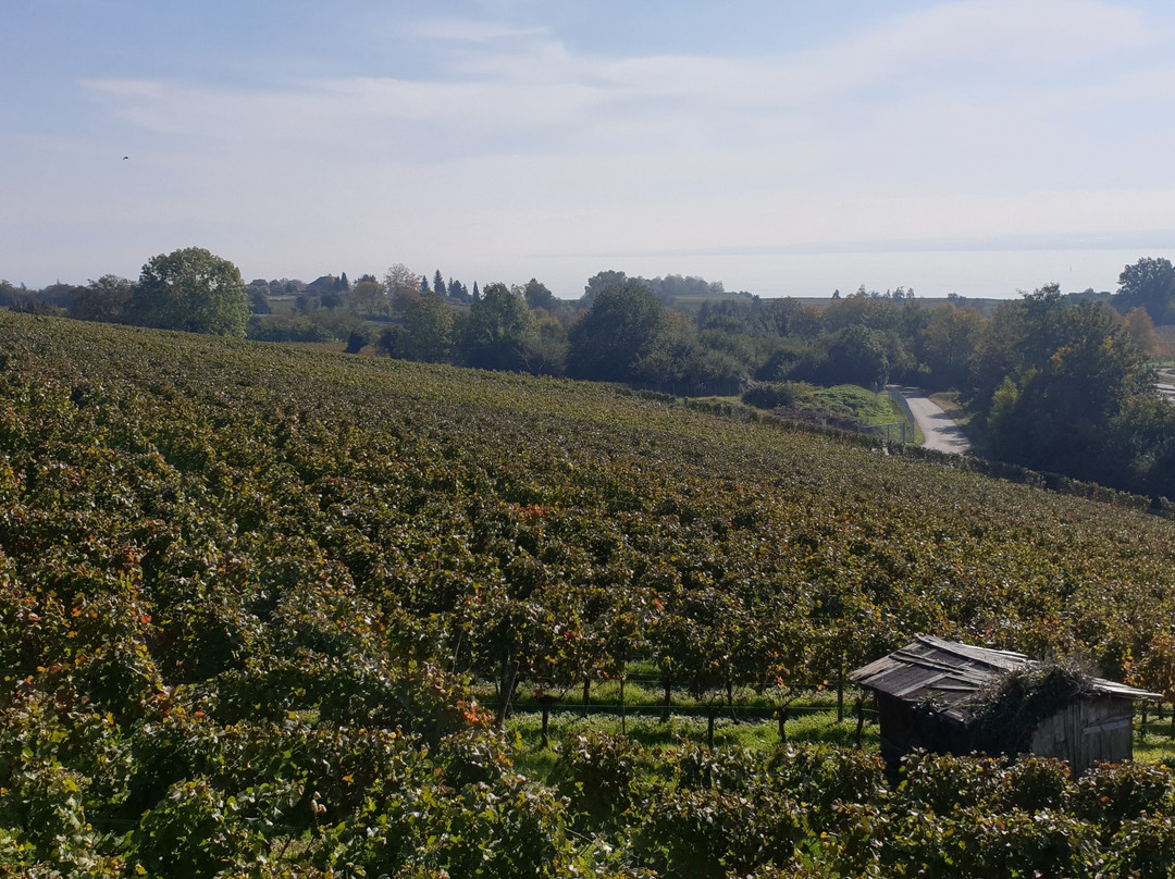 Stetten酒店住宿-Pension Haus am Trielberg