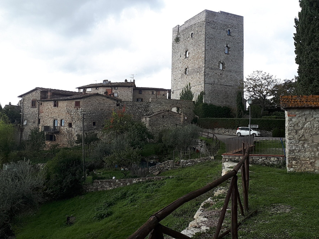 Castello di Vertine景点图片