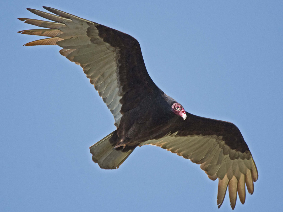 McCown Valley Park-Whitney必去景点