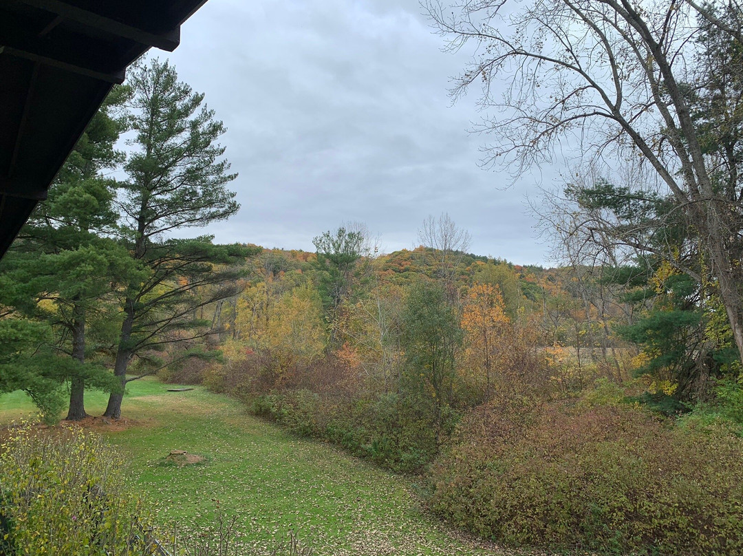 Wind in the Pines主图