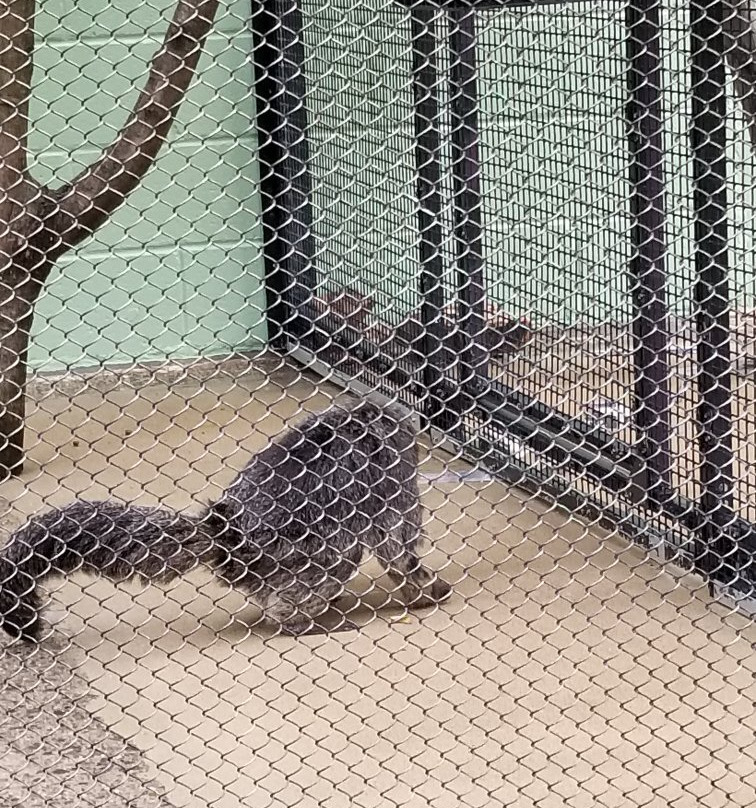 Brandywine Zoo-威尔明顿必去景点