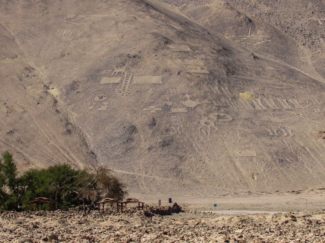 Geoglifos Pintados, Pozo Almonte景点图片