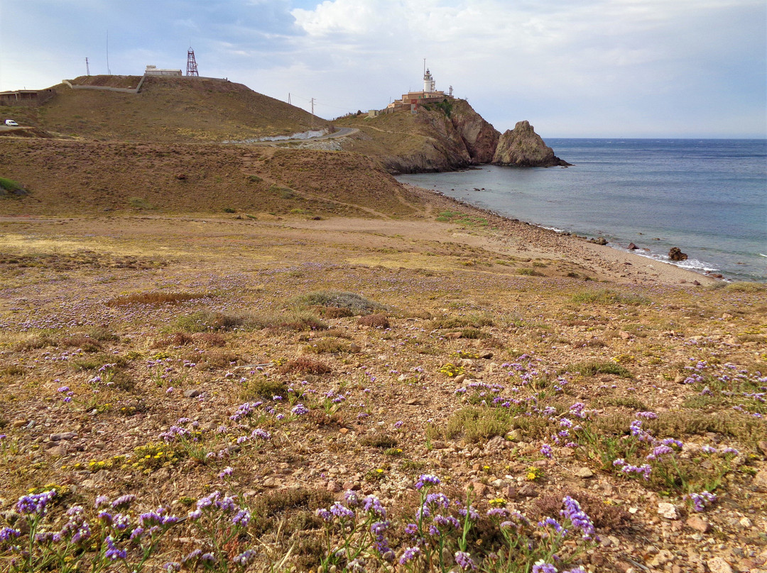 Playa del Corralete景点图片