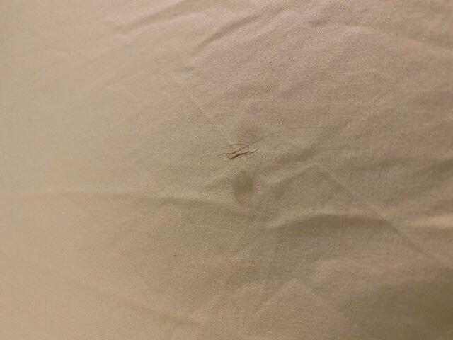 Holiday Inn Salem By IHG主图