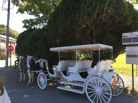 Lexington Carriage Company-列克星敦必去景点