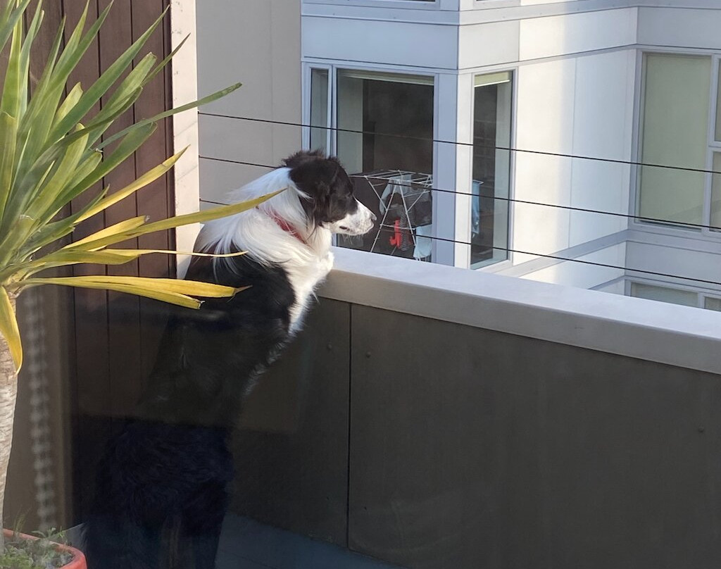 U Residence酒店，贝斯特韦斯特品质精选主图