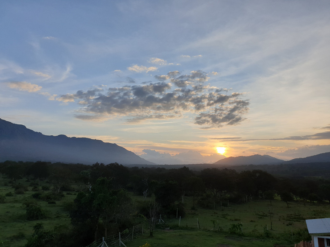 Avadale Masinagudi主图