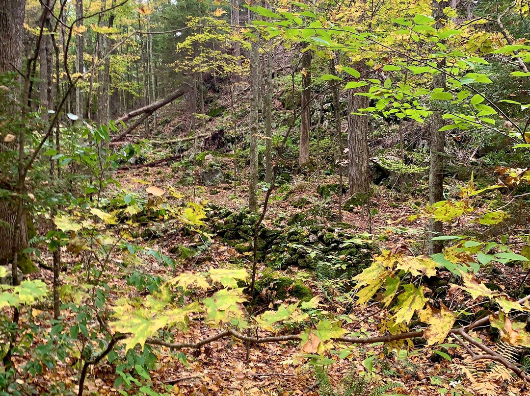 George C. Waldo State Park-绍斯伯里必去景点