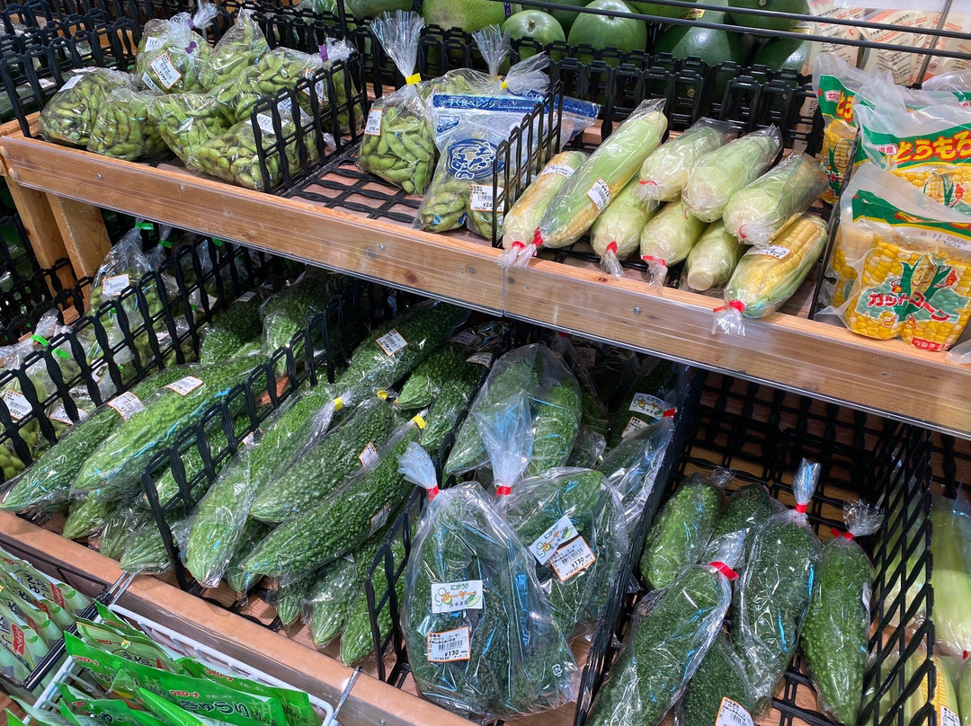 Michi-no-Eki Misaki-美咲町必去景点