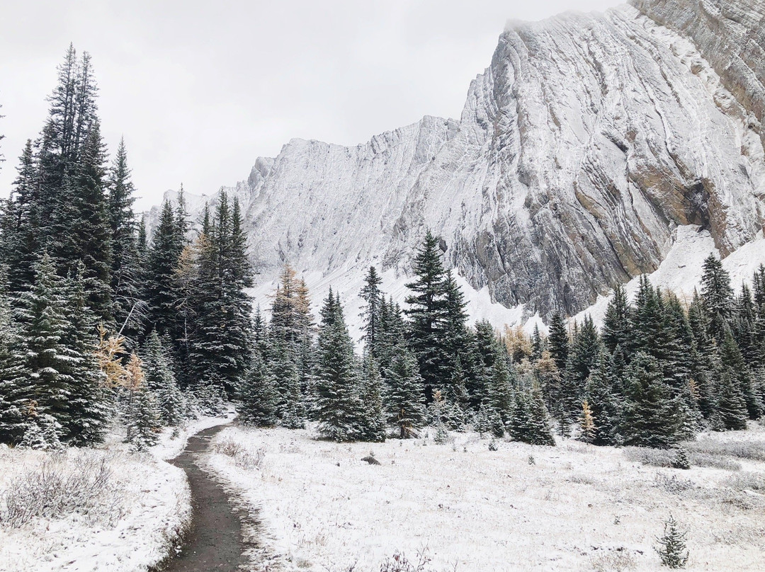 Chester Lake-Peter Lougheed Provincial Park必去景点