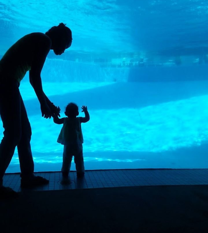 Texas State Aquarium-科珀斯克里斯蒂市必去景点