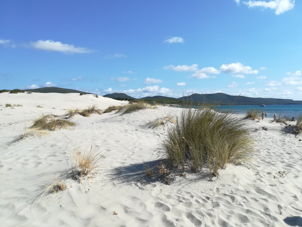 Le Dune Beach-Porto Pino必去景点