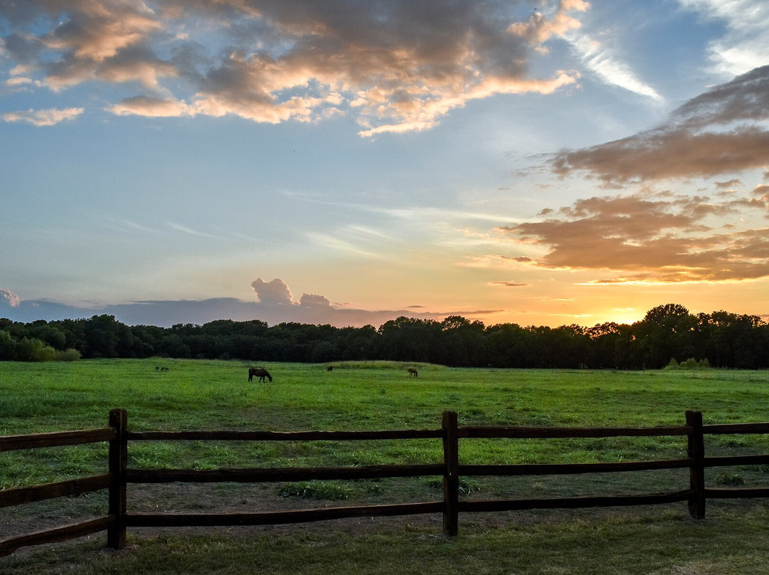 Barn Hill Vineyards-Anna必去景点