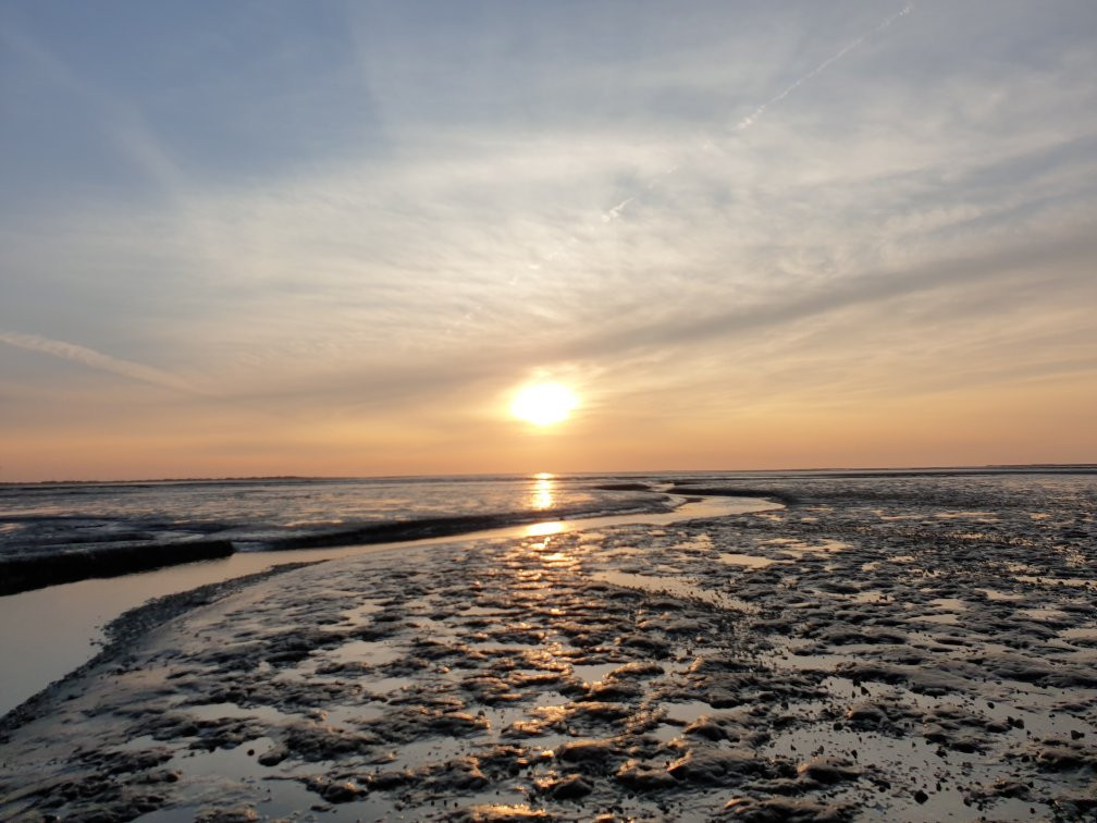 Wattwanderzentrum Ostfriesland-Harlesiel必去景点