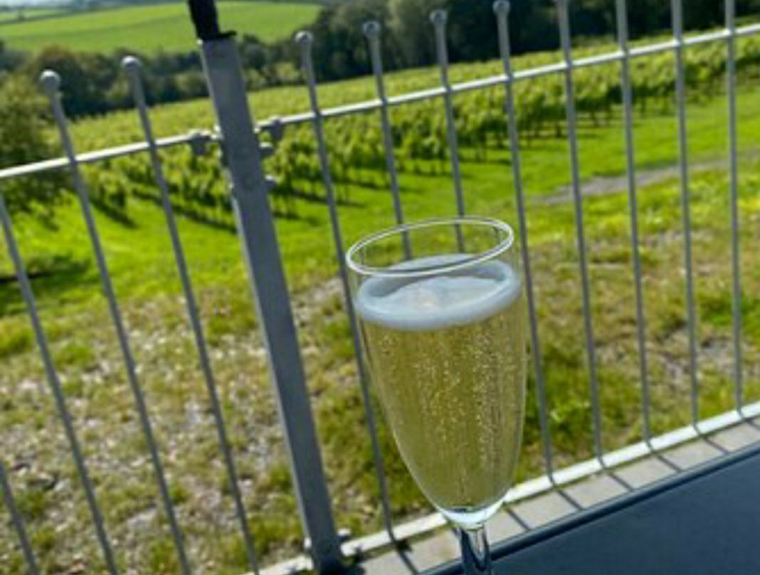 Velfrey Vineyard景点图片