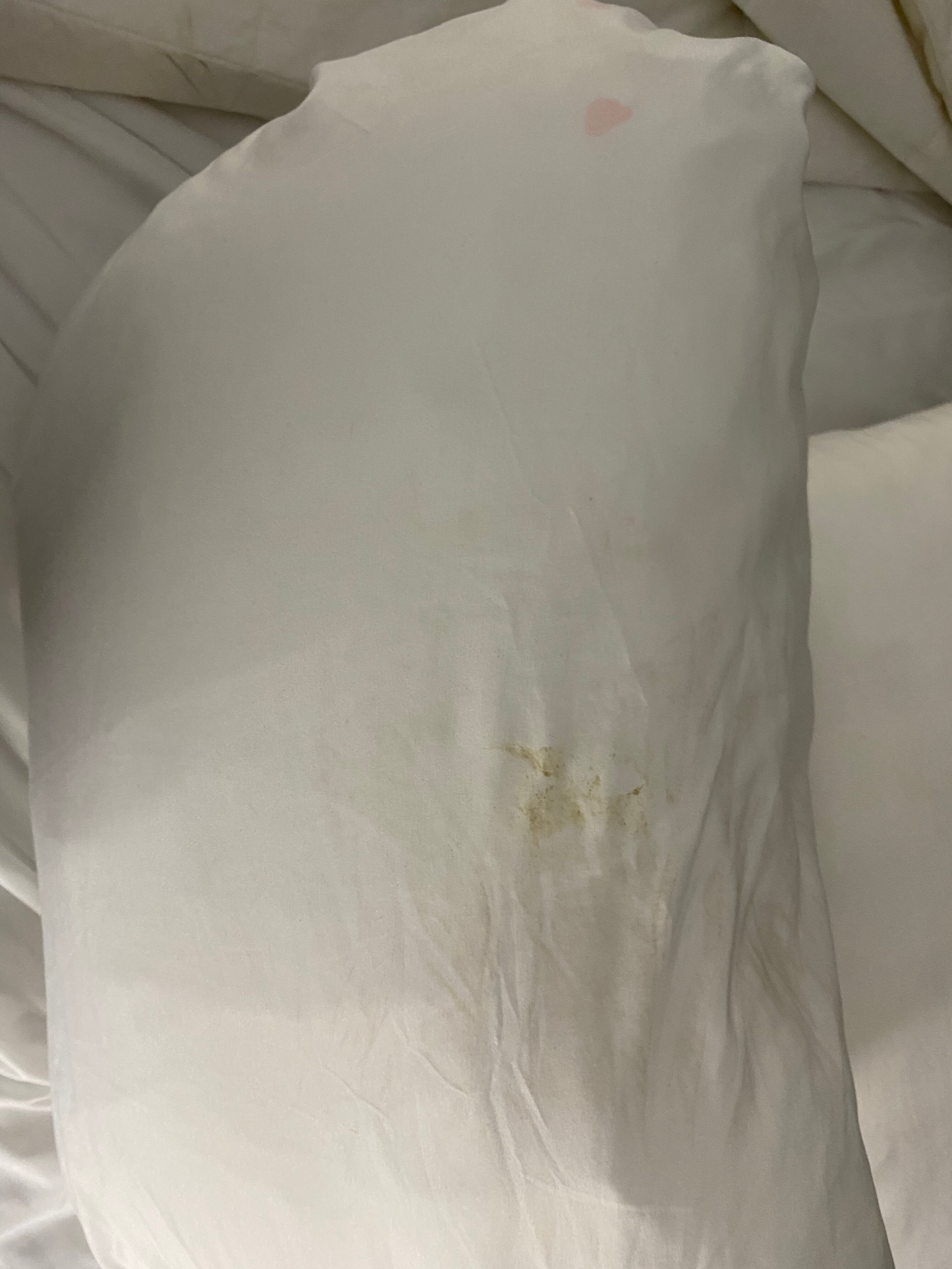 Radiance Inn And Suites-官方