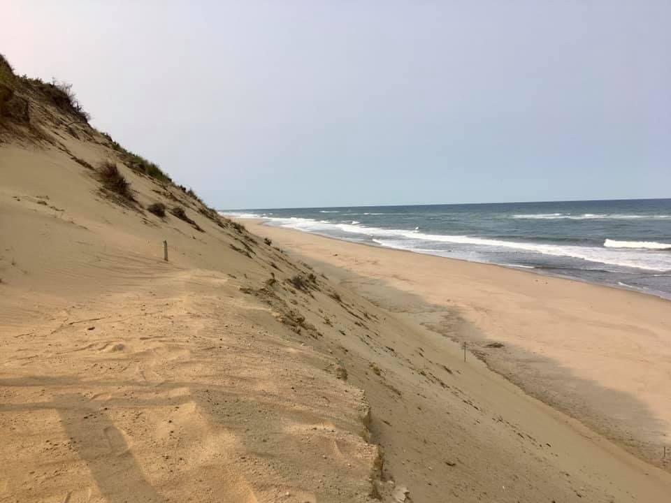 The Beachcomber of Wellfleet景点图片