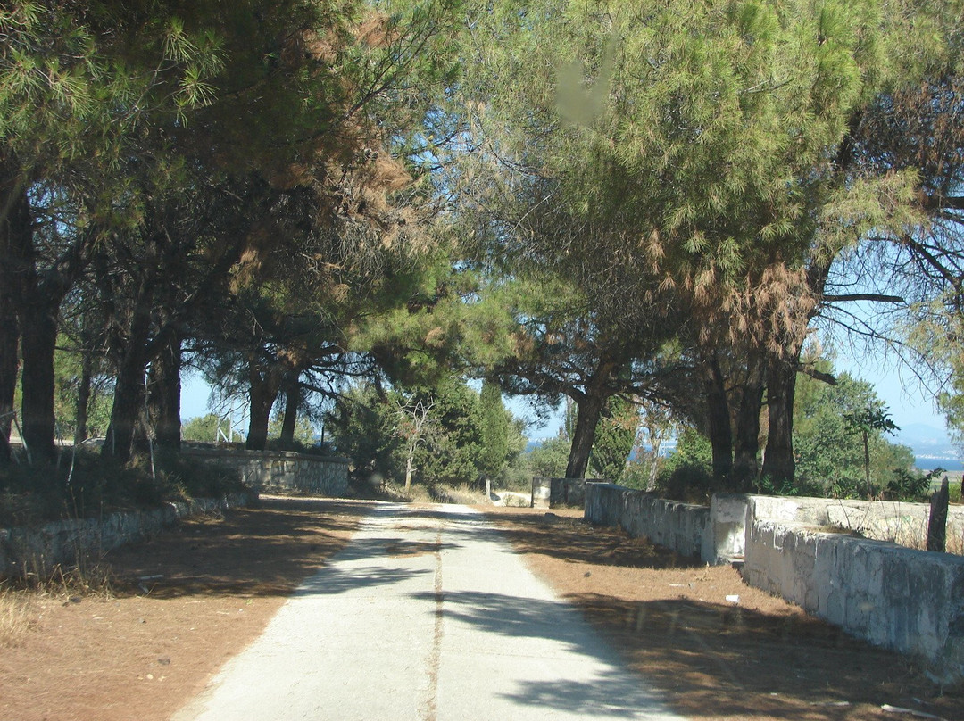 Orhaniye Tabyası景点图片