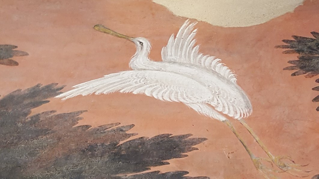 Museo Arte Plastica景点图片