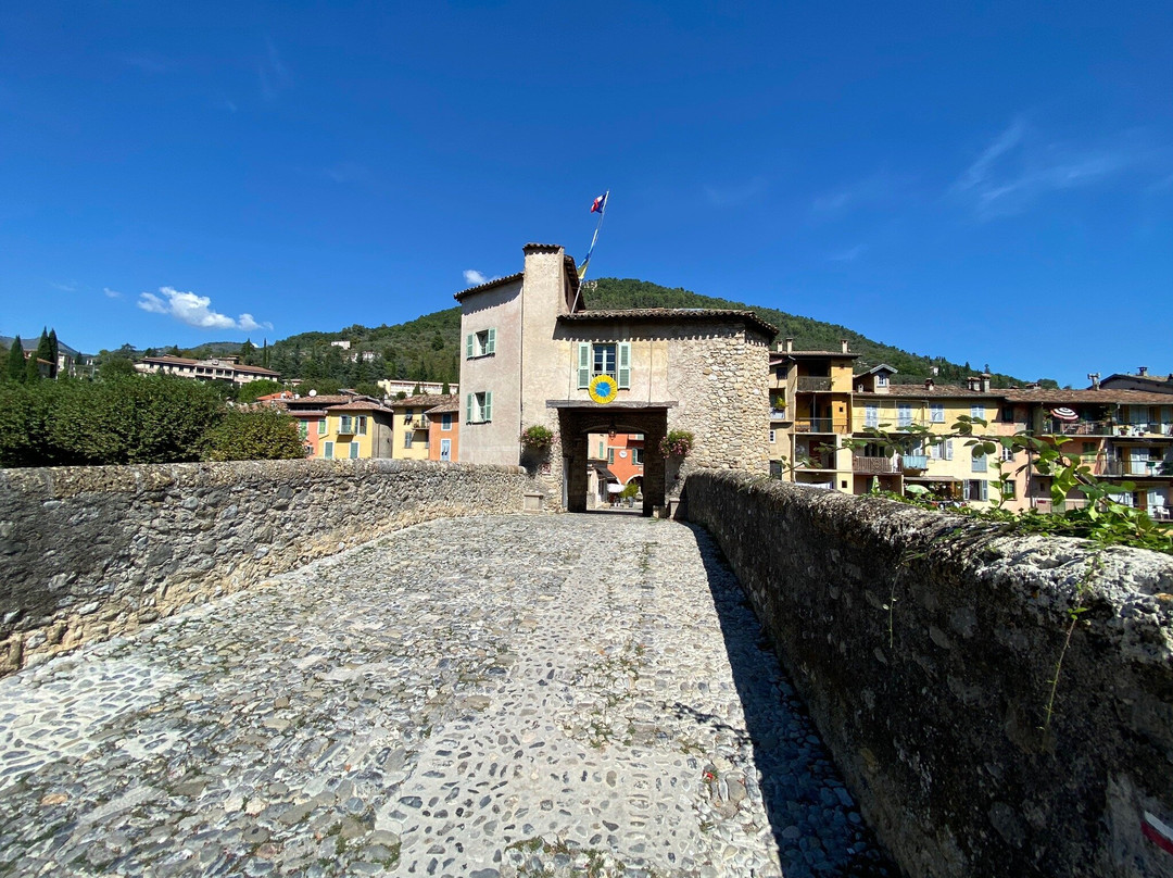 Le Pont Vieux　景点图片