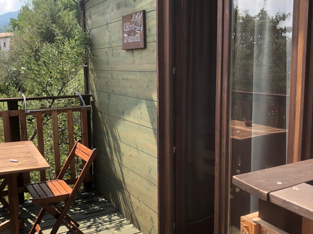 Palazzo Conforti主图