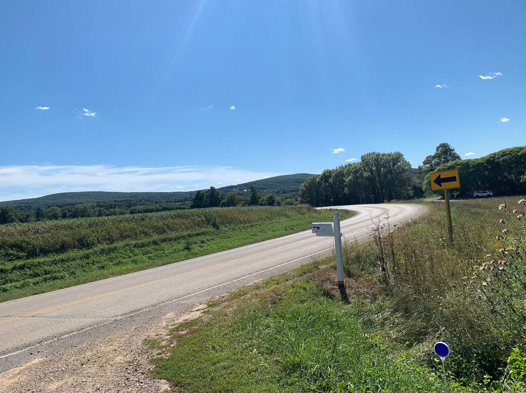 New Life Lavender Farm-巴拉布必去景点