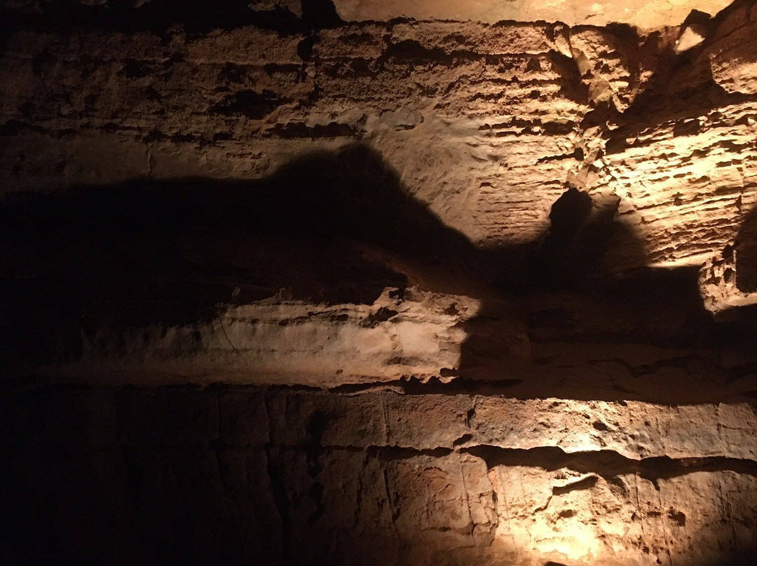 Indiana Caverns景点图片