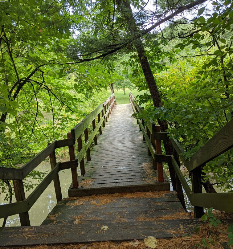 White Pines Forest State Park-Mount Morris必去景点
