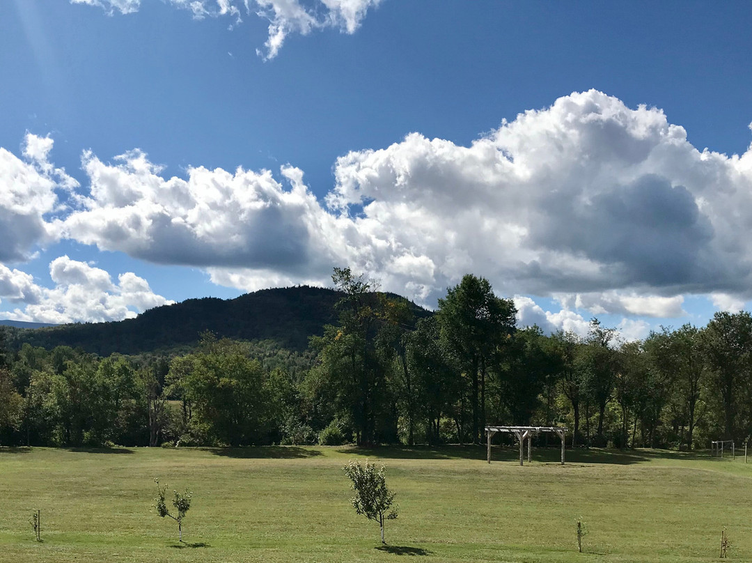 Spillover Motel主图