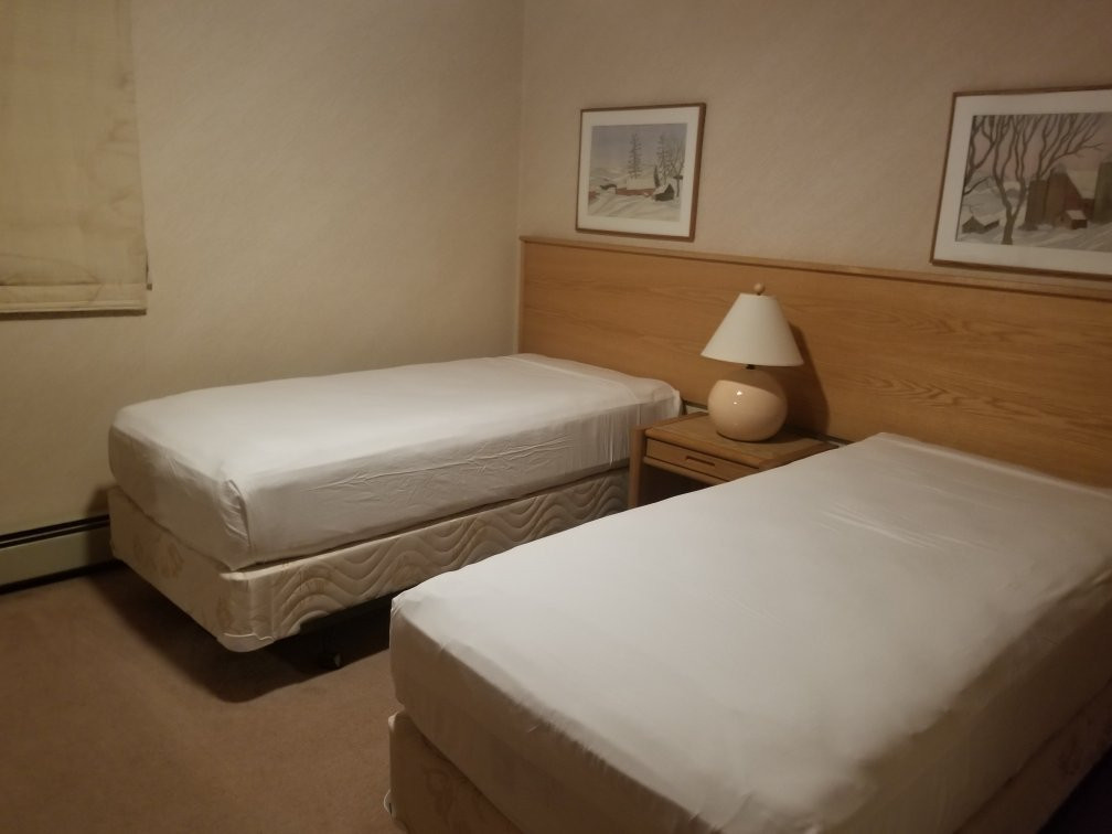 Eagles at Sugarbush主图