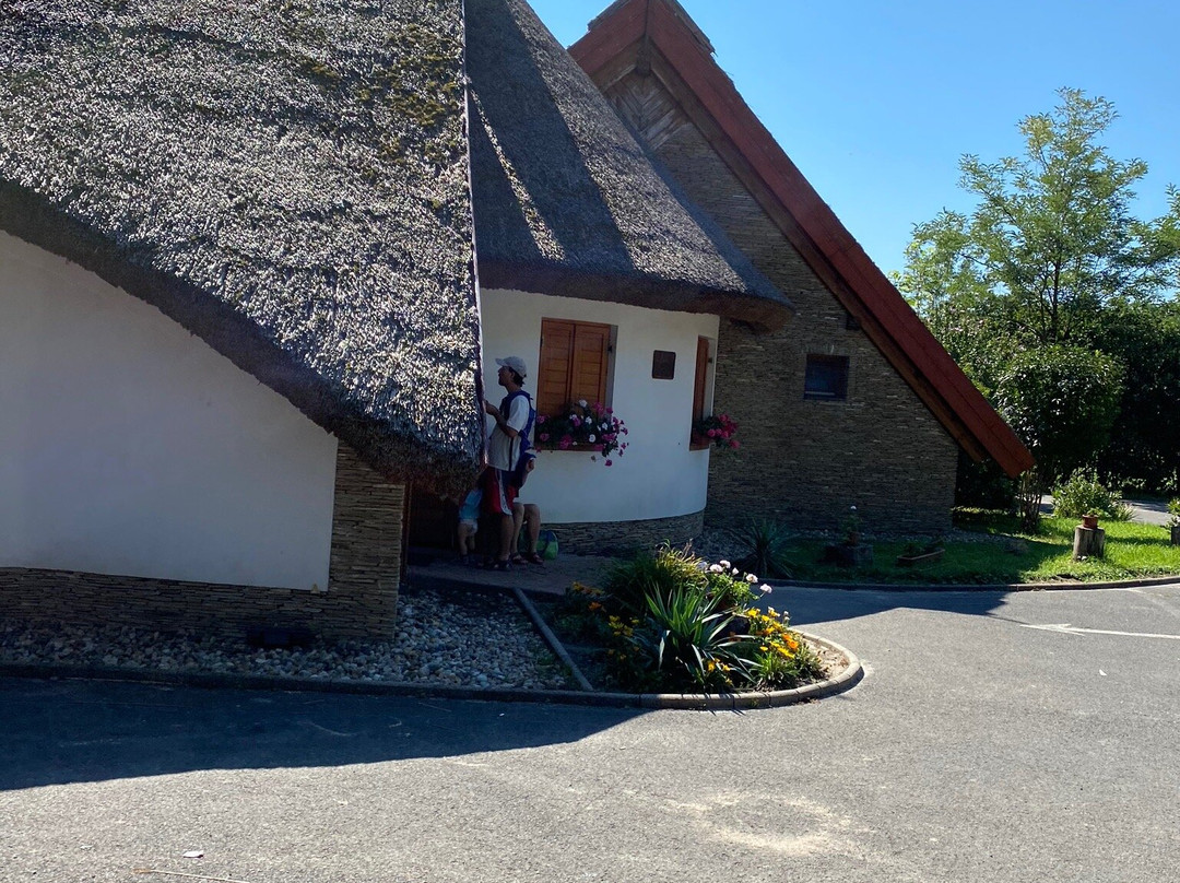 Kápolnapuszta Buffalo Reservation-Zalakomar必去景点