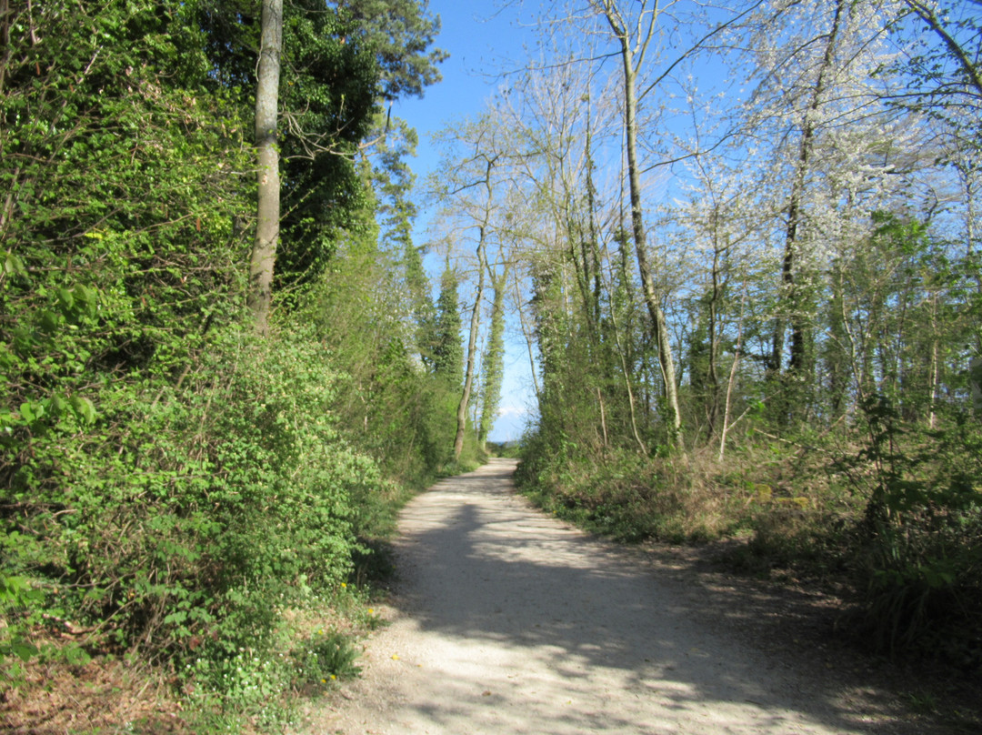 Sentier Aux Oiseaux-Préverenges必去景点