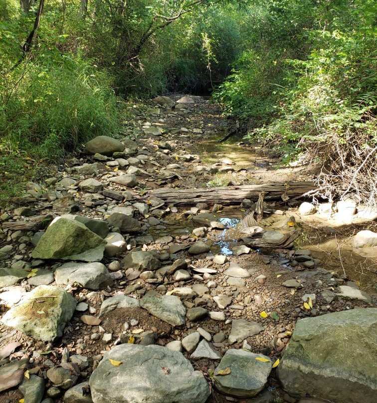 The Safe House Bed and Breakfast主图