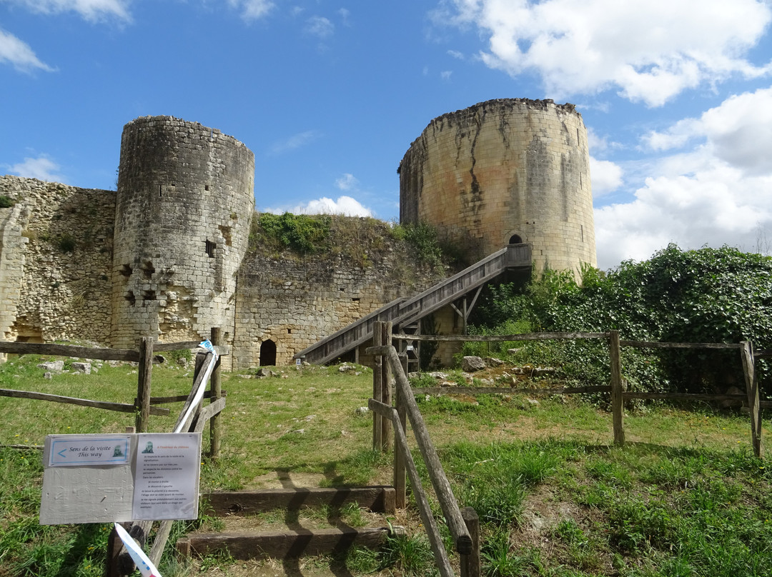 Chateau de Coudray-Salbart景点图片