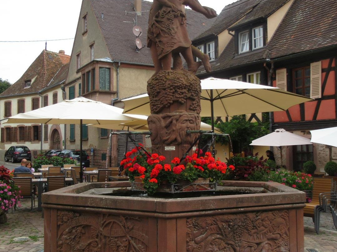 Fontaine Aux Cépages景点图片