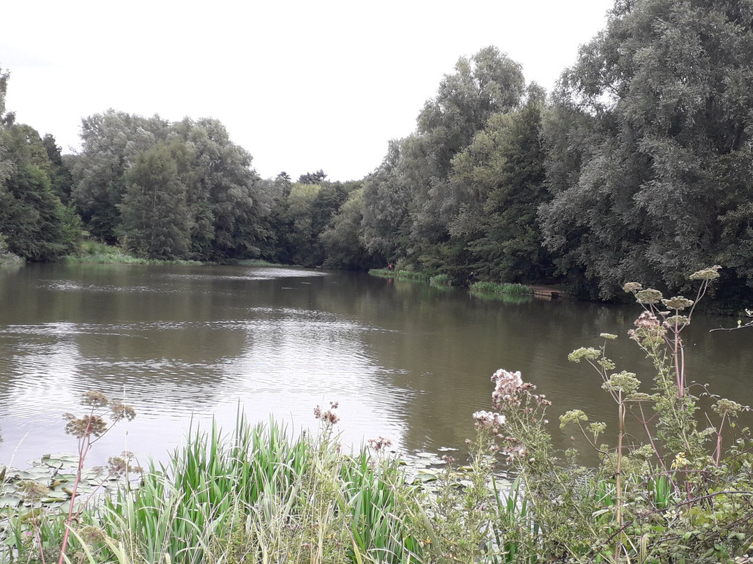 High Woods Country Park景点图片