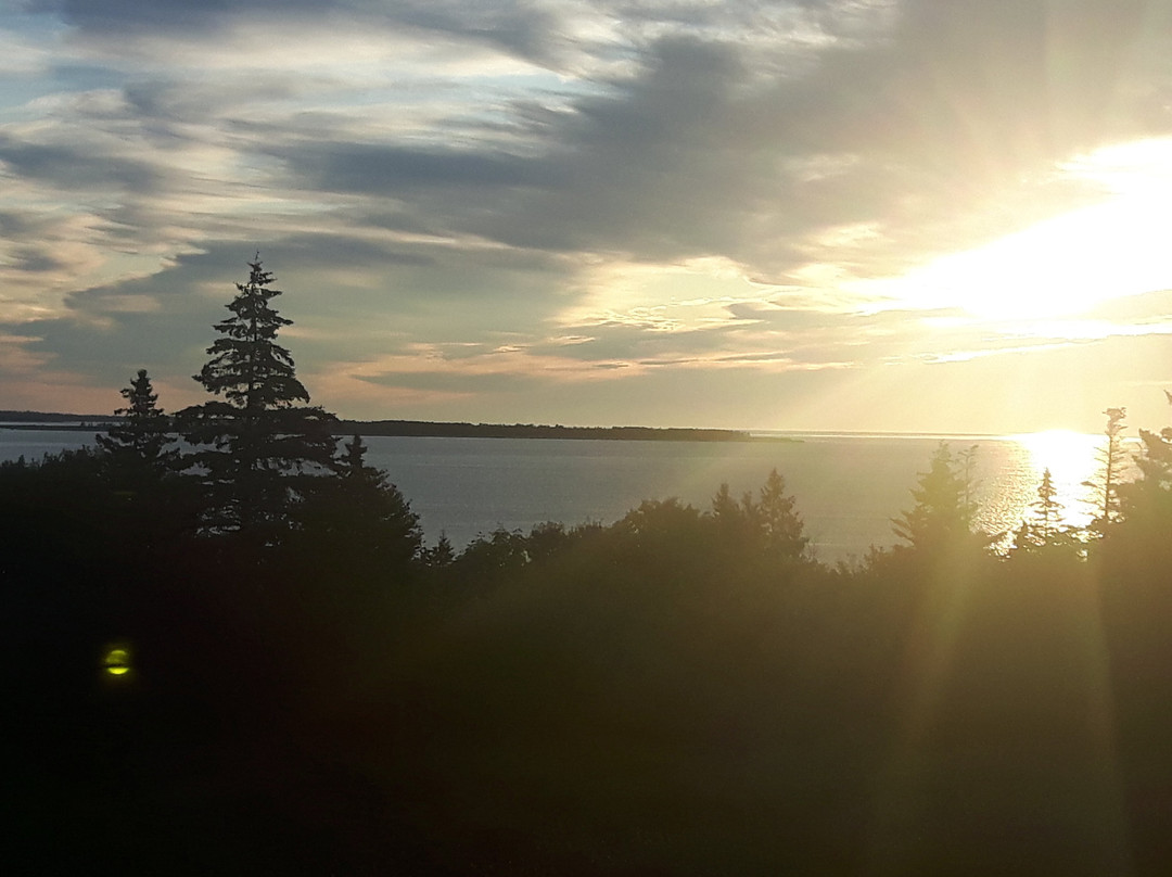 Gallery Guest House B & B主图