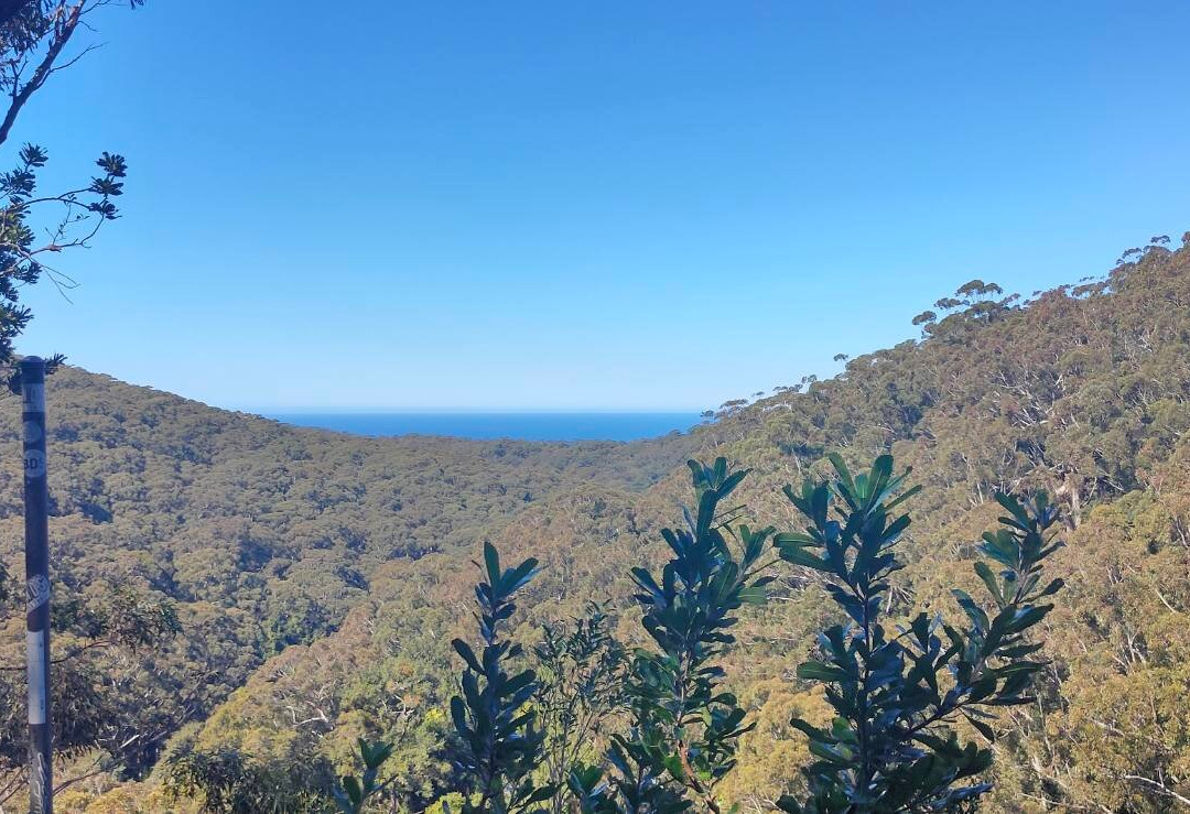 Kellys Falls Track-海伦斯堡必去景点