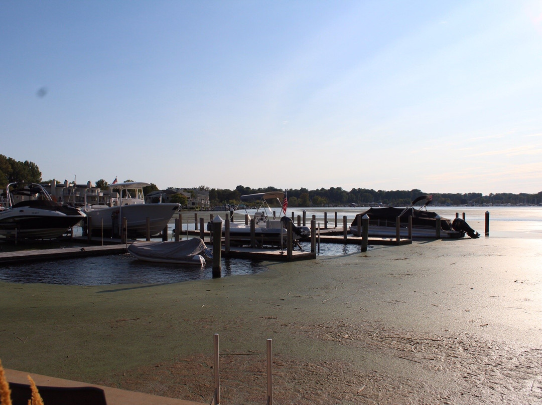 Saugatuck Harbor Inn主图