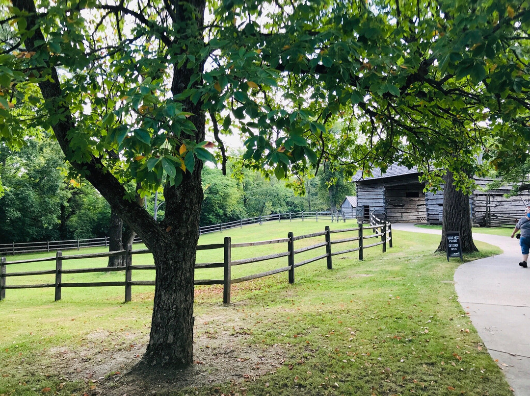 Lincoln Log Cabin-Lerna必去景点