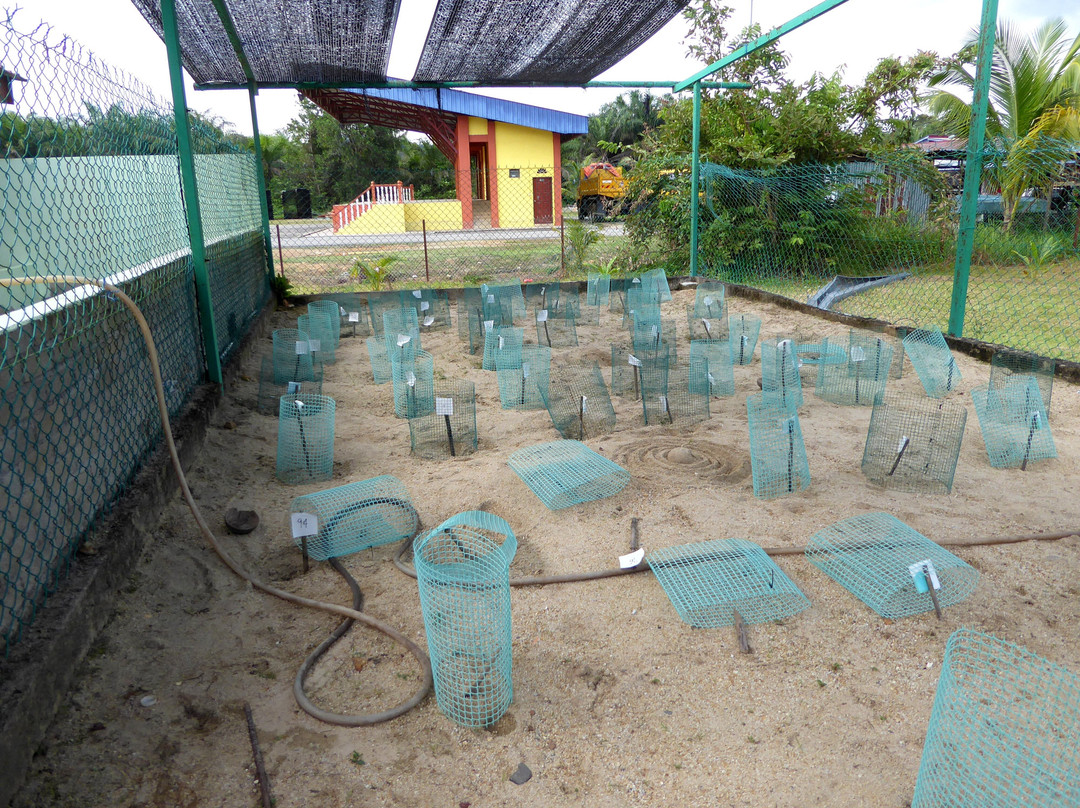 Tcs River Terrapin Conservation Centre