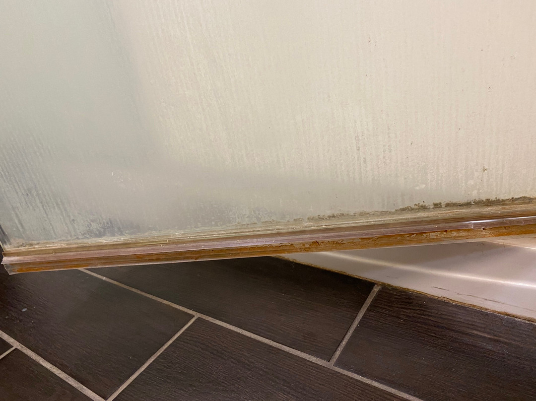 La Quinta Inn & Suites by Wyndham Leesville Ft. Polk主图